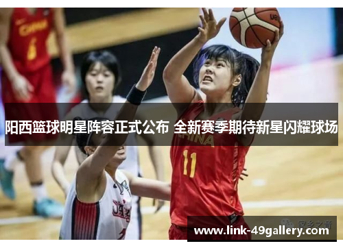 阳西篮球明星阵容正式公布 全新赛季期待新星闪耀球场