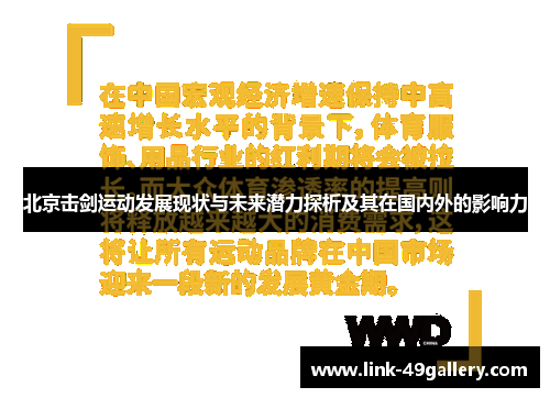 北京击剑运动发展现状与未来潜力探析及其在国内外的影响力