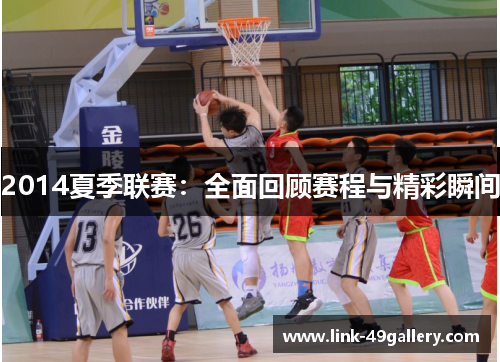 2014夏季联赛：全面回顾赛程与精彩瞬间