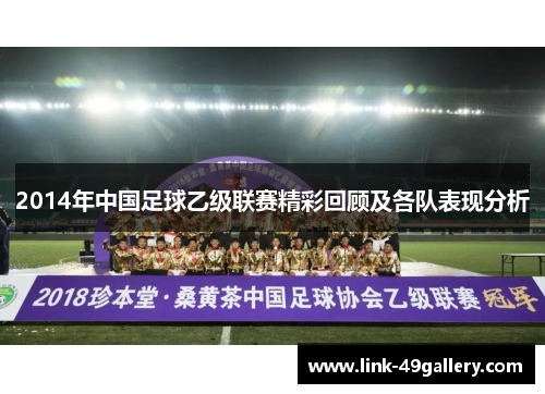 2014年中国足球乙级联赛精彩回顾及各队表现分析